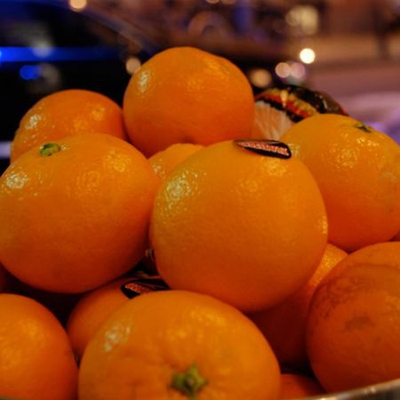 Frisco Inn Amsterdam Zewnętrze zdjęcie